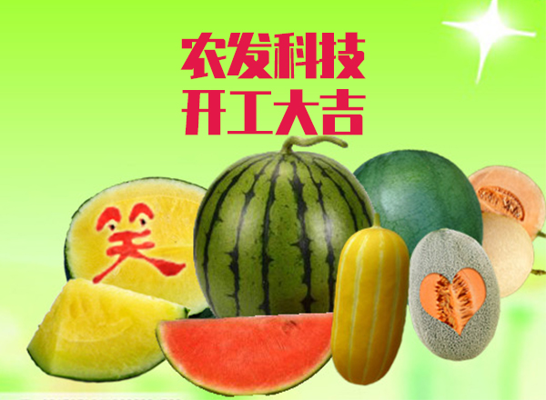 <strong>“农发科技喜迎牛年新开局</strong>